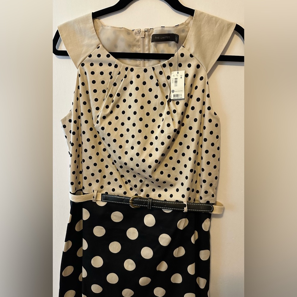 The Limited Polka Dot Dress - Size 8